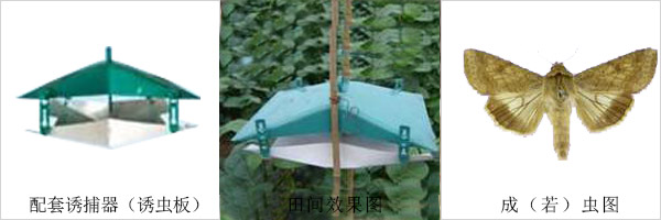 棉铃虫性诱剂诱捕器