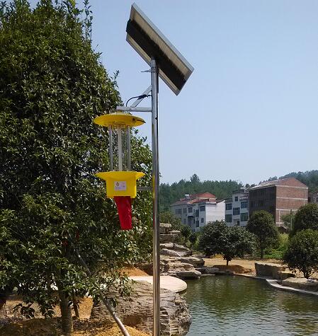 久久AⅤ天天射区二区 太阳能杀虫灯在城市绿化中的应用