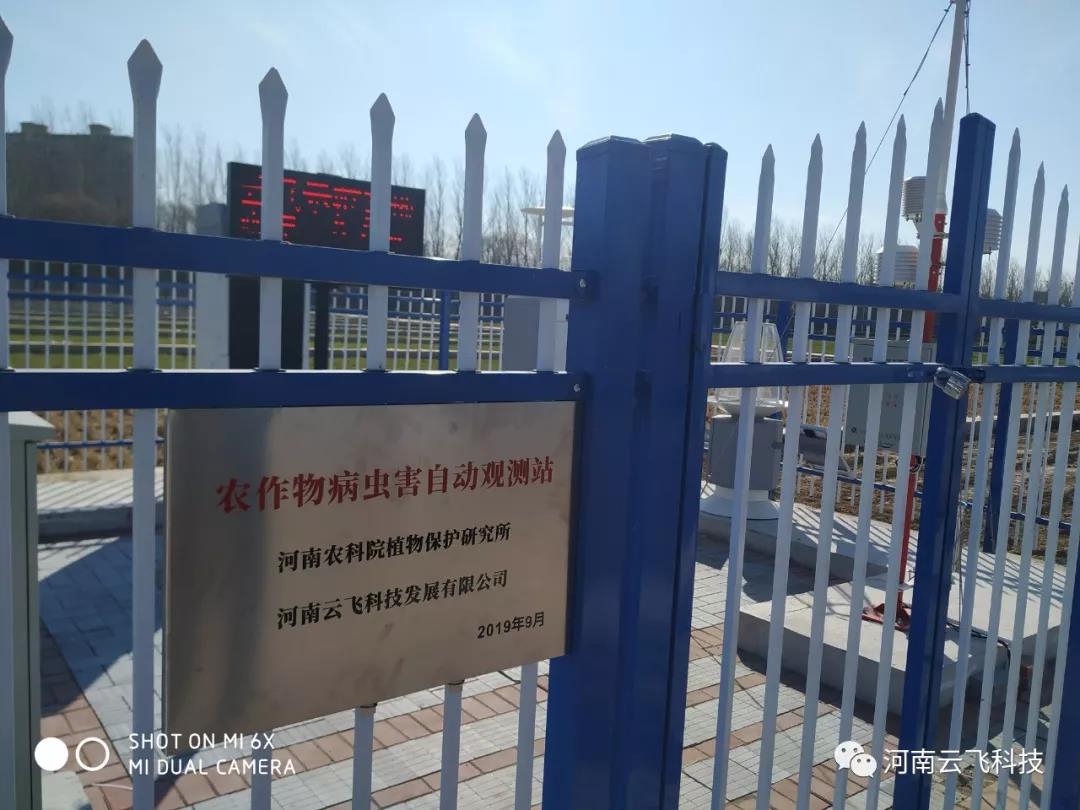 久久精品国产久精国产 云飞科技在农科院示范基地建设的病虫害观测站