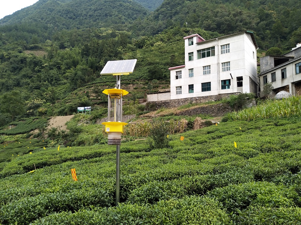 云飞自动清虫太阳能杀虫灯