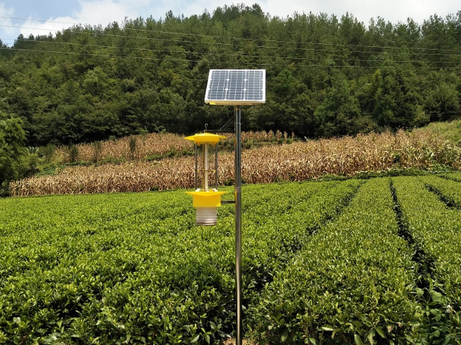 云飞自动清虫太阳能杀虫灯