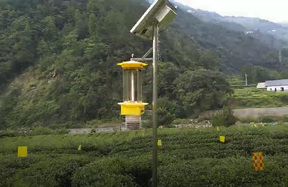 云飞自清虫杀虫灯在五峰茶园出口欧盟茶园