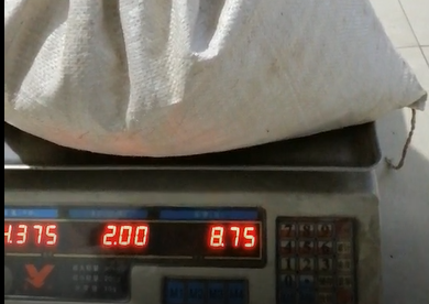 云飞杀虫灯一天杀虫量将近9斤，客户都惊呆了