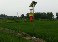 云飞杀虫灯全力做好株州稻田害虫防治工作